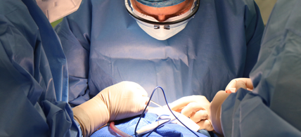 Formation vétérinaire en chirurgie de l'abdomen