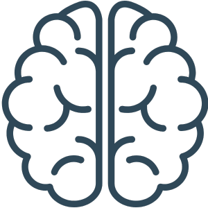 Formation vétérinaire en neurologie